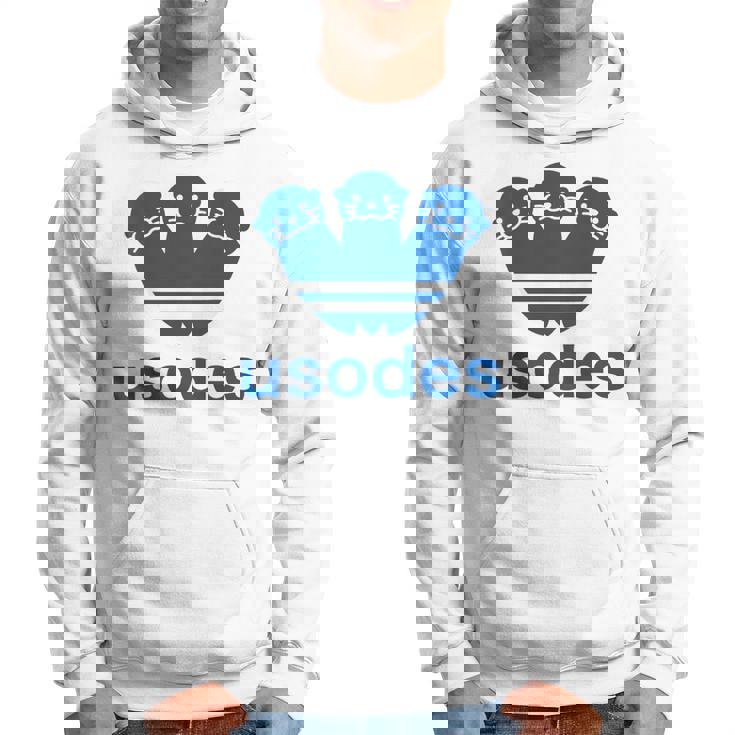 【バックプリント・背中側】ウソデス Usodes かわうそです。《ブルー 青》スポーツ ブランド パロディ 面白い パーカー