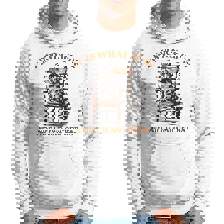 アライグマのミーム It's What It's And It Is Not Greatarcastic パーカー