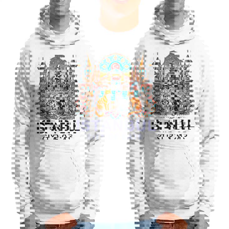 イスタンブール、トルコ 猫の街 Ii パーカー