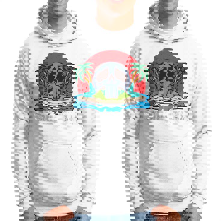 サンタクルーズ カリフォルニア ヴィンテージ レトロ 長袖tシャツ パーカー