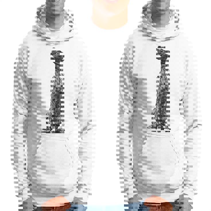 ドッグ・プロット・ハウンド パーカー