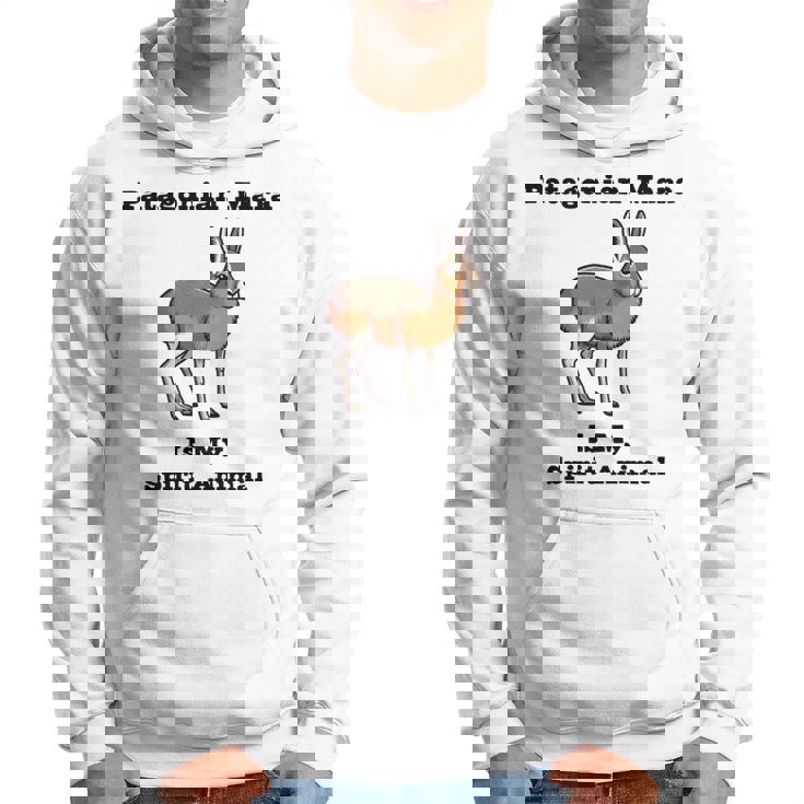 パタゴニアン マーラ スピリットアニマル 長袖tシャツ パーカー