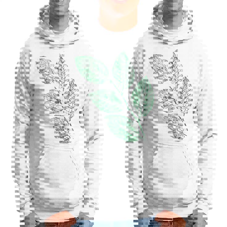 ブナの葉 植物 自然と森林 木のグラフィックス パーカー