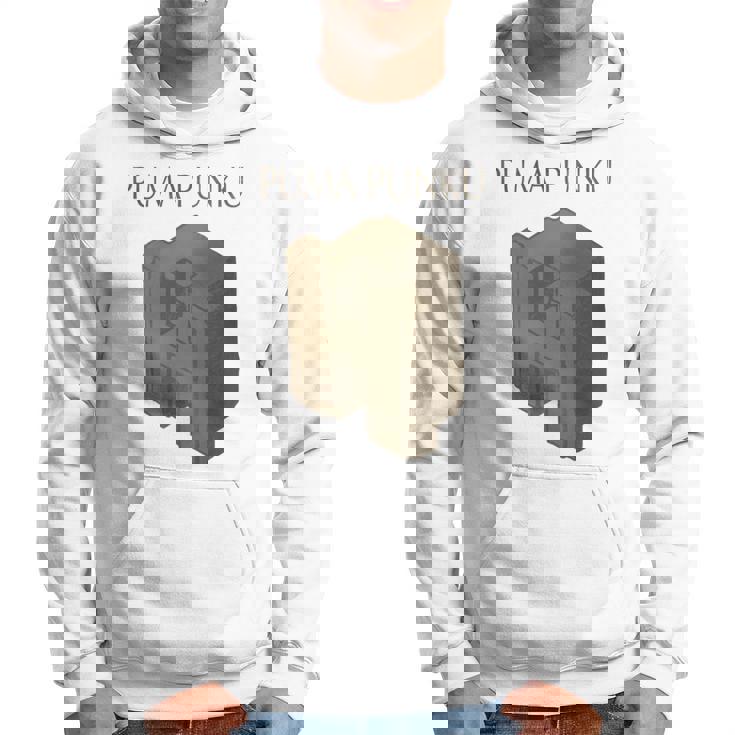 プーマ プンク 長袖tシャツ パーカー