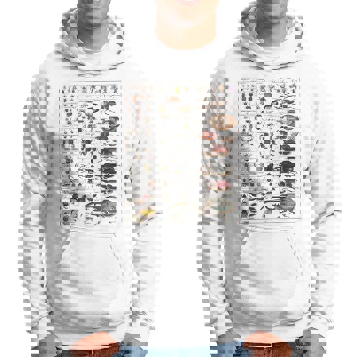 昆虫の種類 ビンテージバグ同定科学 パーカー