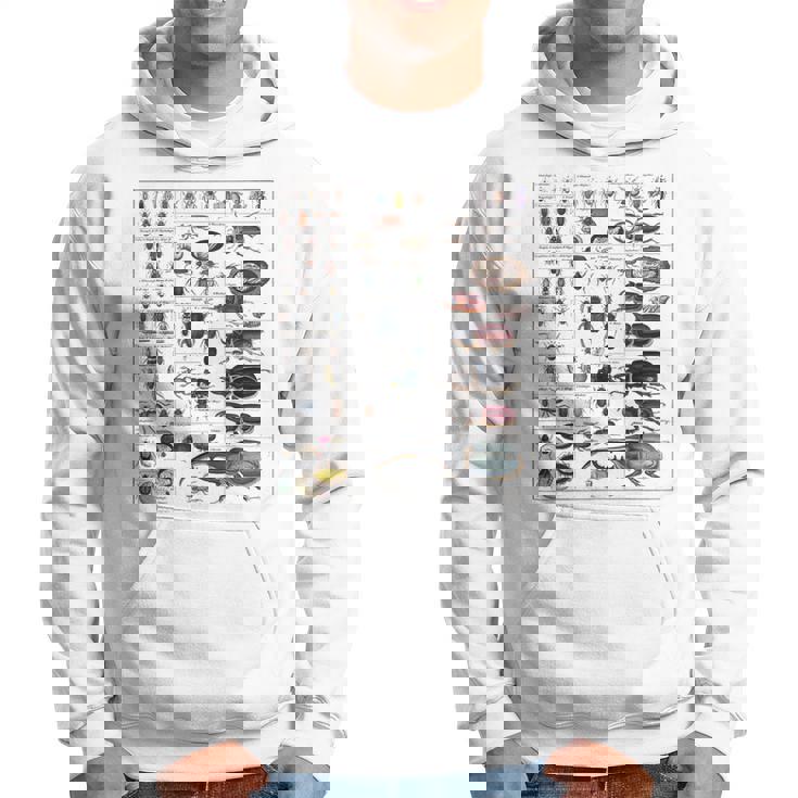 昆虫コレクション 種 虫 ビンテージ チャート 昆虫学 パーカー