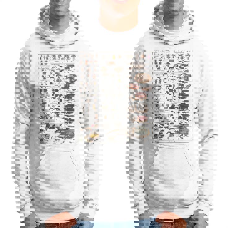 昆虫学者 昆虫学 昆虫 虫の種類 パーカー