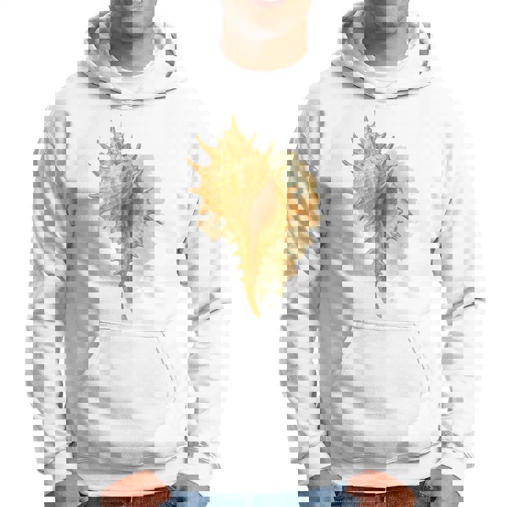 水彩 ムレックス 貝殻 貝殻 ハンティング ビーチコーミング パーカー