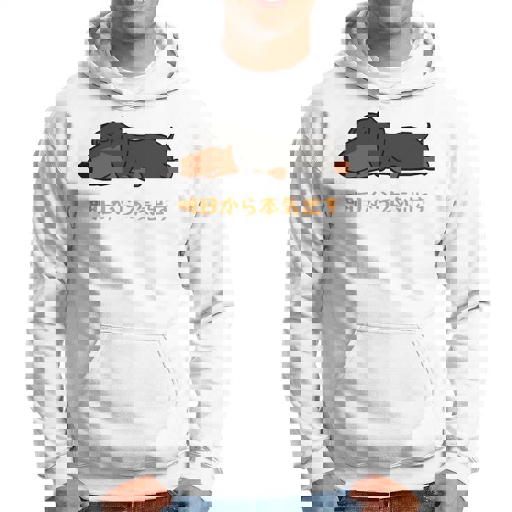 犬 おもしろ 明日から本気出す 可愛い ダックスフンド ミニチュアダックスフンド 長袖tシャツ パーカー