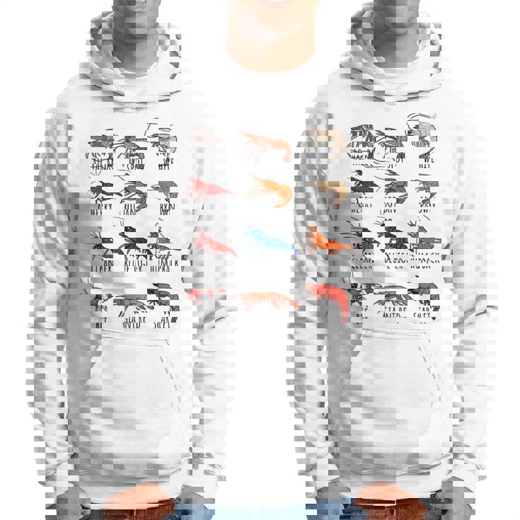 異なるタイプのエビの品種コレクション、かわいいエビ愛好家。 パーカー