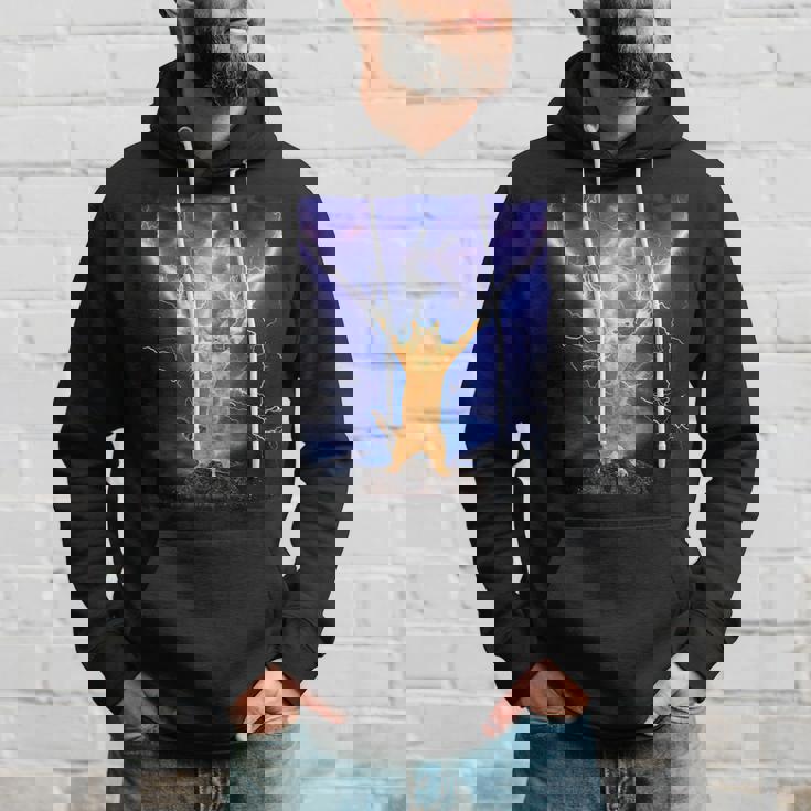 Cat Merch おかしな猫 稲妻 サンダーボルト オン マウンテン パーカー 彼への贈り物