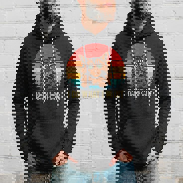 I Do What I Want Cat レトロ ヴィンテージ 面白い 猫好き パーカー 彼への贈り物