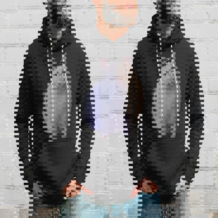 Meme Huh Catミームハァキャット面白い パーカー 彼への贈り物