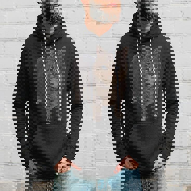 Oiia Oiia 猫 面白い 回転する猫 ミーム パーカー 彼への贈り物