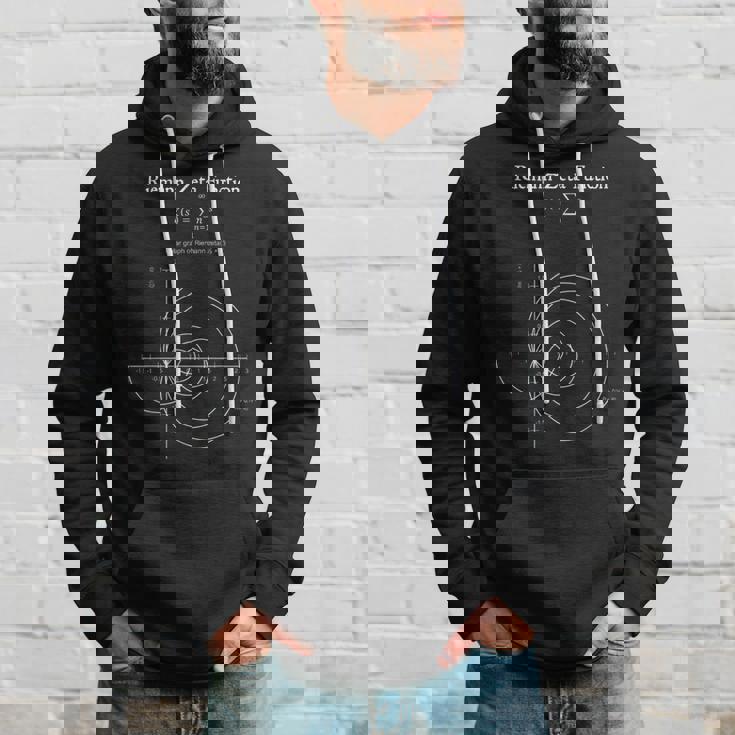 Riemann ゼータ機能グラフ 物理学 数学教師 オタクギフト パーカー 彼への贈り物