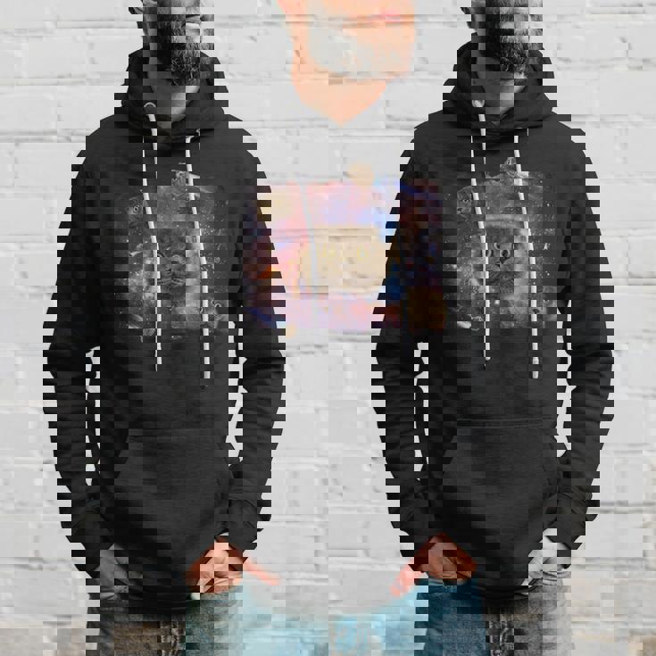 Scottish Fold Cat Comet シャツ パーカー 彼への贈り物