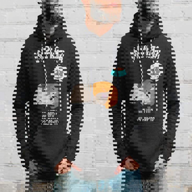 かわいいスリーピングビーグル ペット愛好家のための面白い犬のデザイン パーカー 彼への贈り物