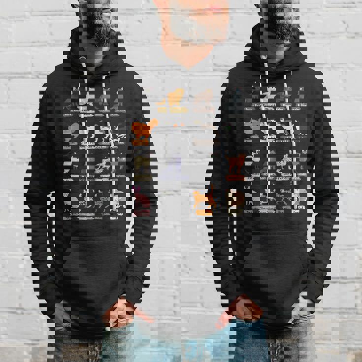 かわいい猫の種類 パーカー 彼への贈り物