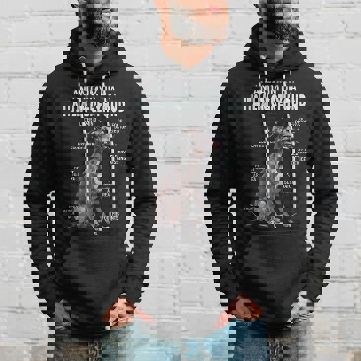 イタリアングレイハウンドの解剖学 パーカー 彼への贈り物