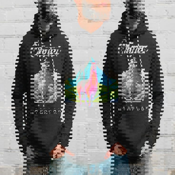 エクアドル コトパクシ国立公園 レトロ ラマ お土産 ハイキング パーカー 彼への贈り物