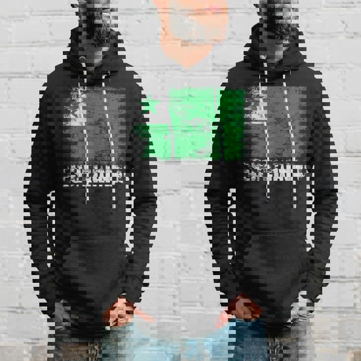 エスペラント国旗tシャツ パーカー 彼への贈り物