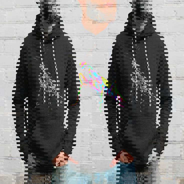 カマキリ カマキリ類 昆虫学 カマキリ パーカー 彼への贈り物