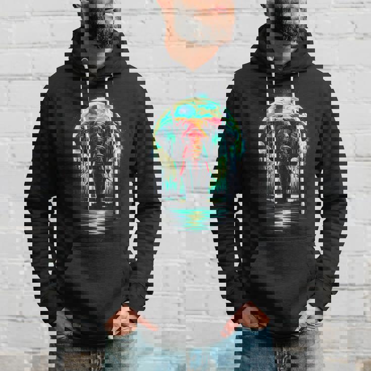 カラフル 象 精霊 動物 かっこいい イラスト アート パーカー 彼への贈り物