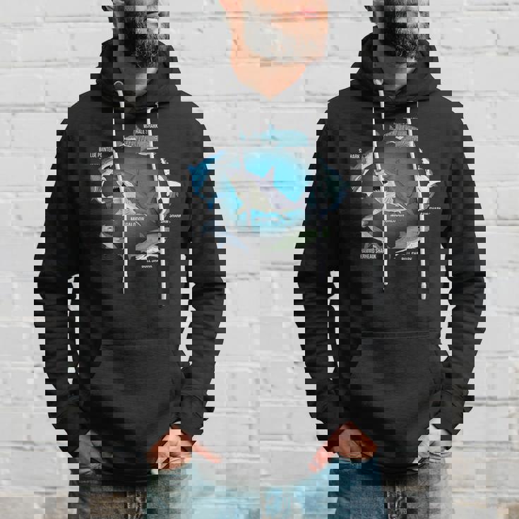 サメ6種 サメタイプ サメ 海の生き物 メガロドン サメ パーカー 彼への贈り物