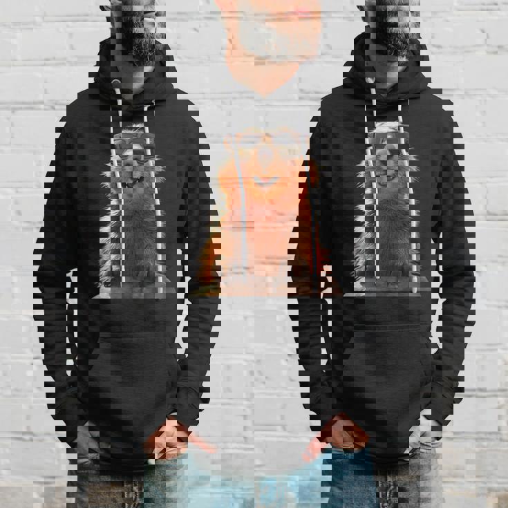 サングラスをかけたマーモット 齧歯類 地リス マーモット パーカー 彼への贈り物