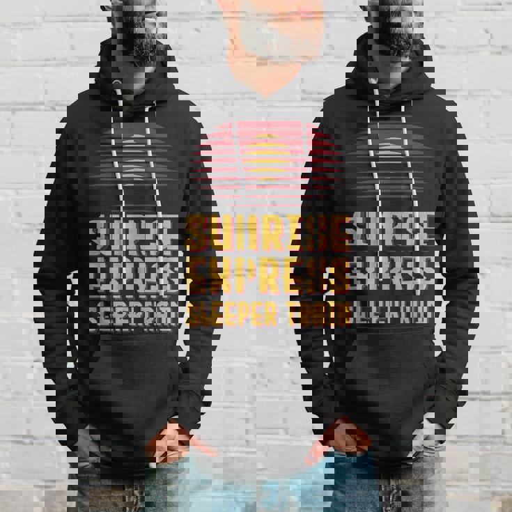 サンライズ特急電車 日本 東京 岡山 出雲 高松 パーカー 彼への贈り物