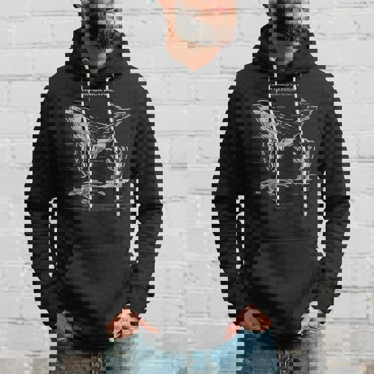 ザトウクジラの解剖学アパレルクジラ航海 パーカー 彼への贈り物