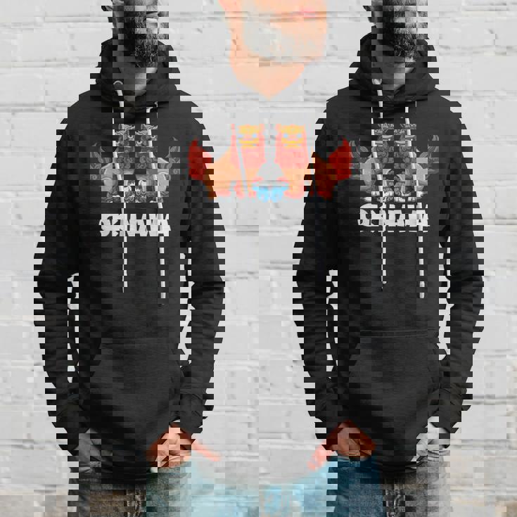 シーサー犬沖縄 パーカー 彼への贈り物