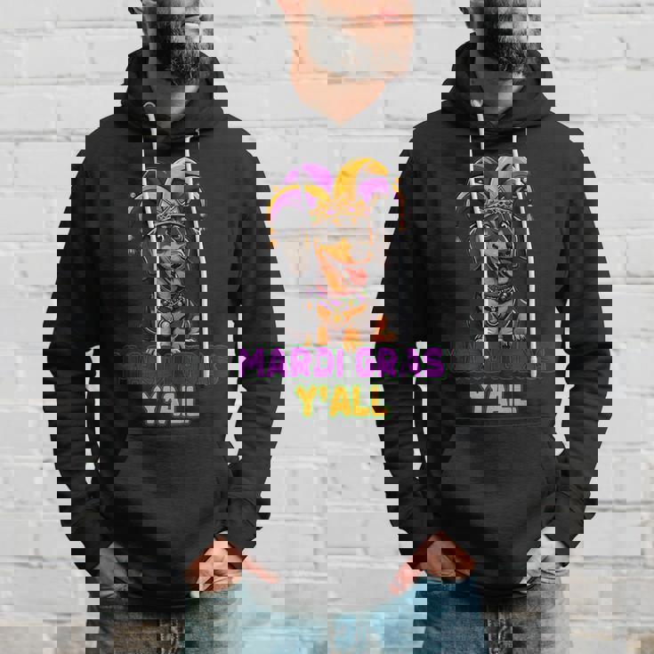 ダックスフンド 犬 マルディグラ Y'all パーカー 彼への贈り物