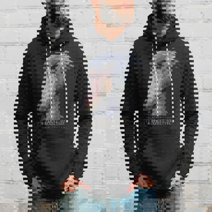 ハシビロコウそれはハシビロコウです パーカー 彼への贈り物