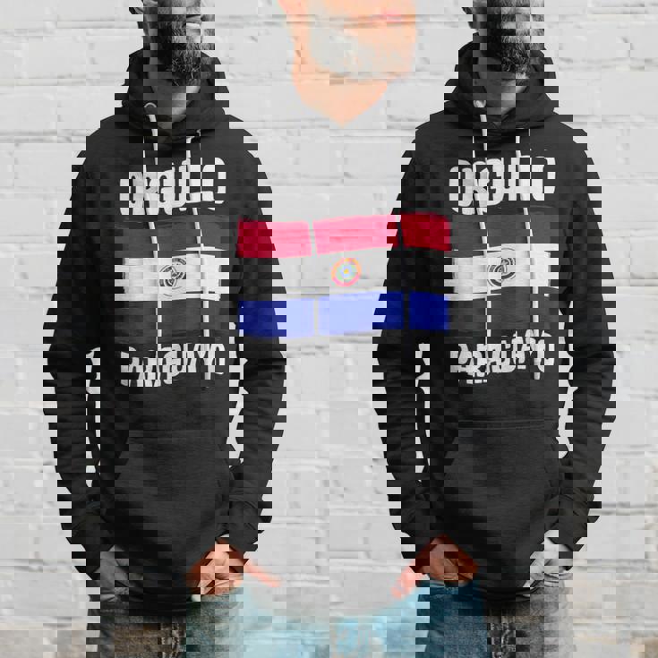 パラグアイプライド パラグアイ国旗 Orgullo Paraguayo パーカー 彼への贈り物