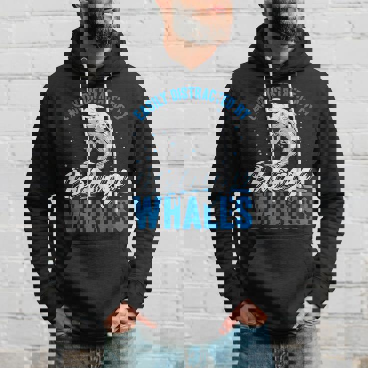 ベルーガクジラに簡単に気を取られる面白いシロイルカ動物。 パーカー 彼への贈り物