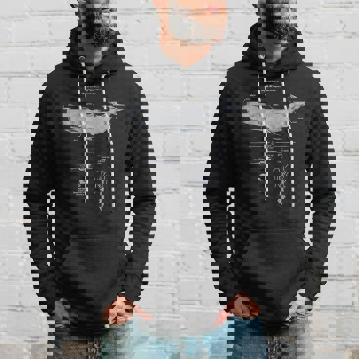 マッコウクジラの解剖学 海洋生物学者 パーカー 彼への贈り物