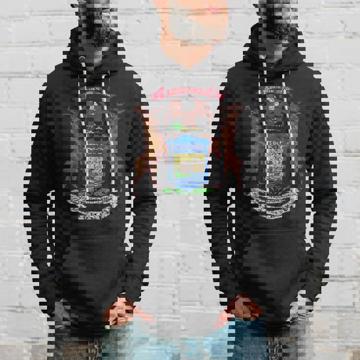 ミシガン州旗国章 パーカー 彼への贈り物