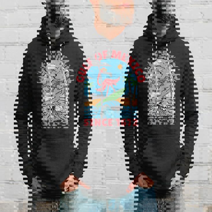 メキシコ湾 フラミンゴ メキシコ湾 1672年以来 パーカー 彼への贈り物