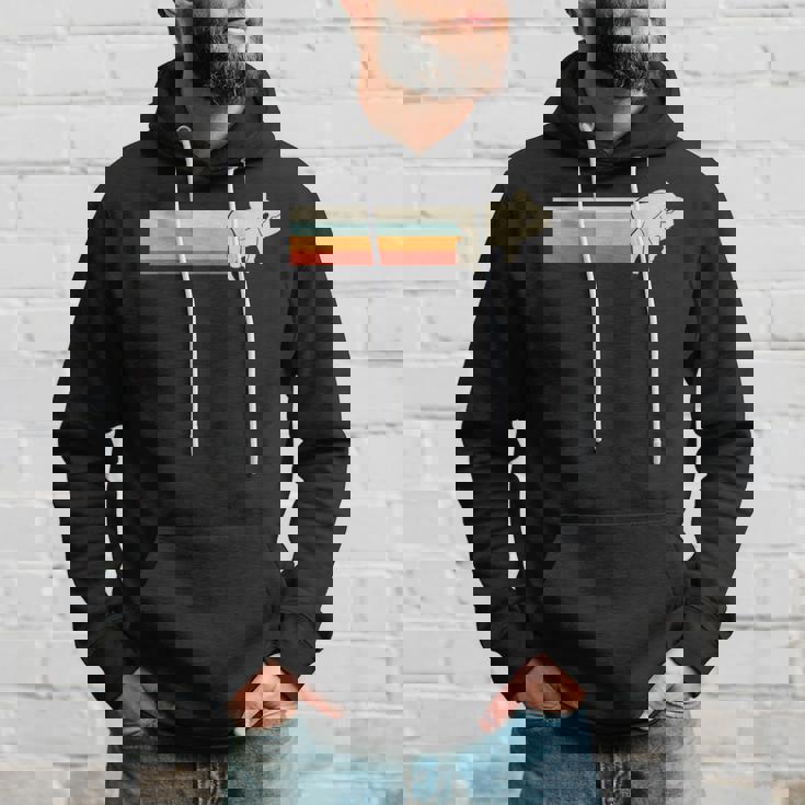 ユーカリイーターコアラとコアラヴィンテージメンズ パーカー 彼への贈り物