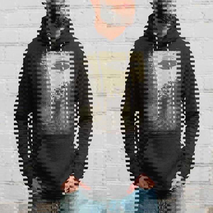 ヴィンテージ ヒップスター レトロ Hip Hop Uap ストリートウェア エイリアン 面白い Ufo ラクーン パーカー 彼への贈り物