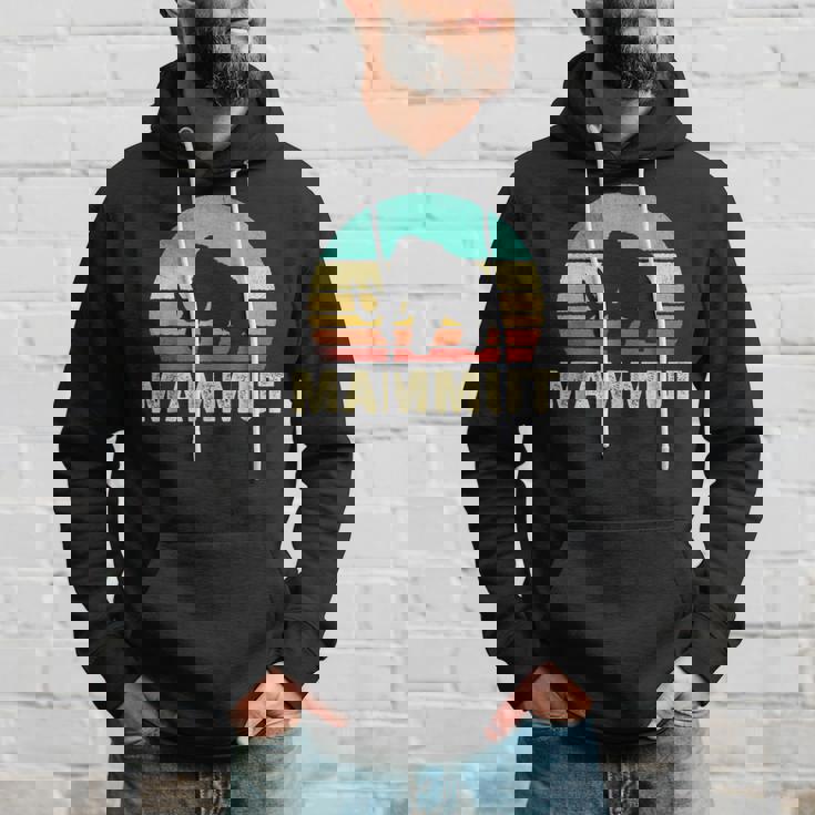 ヴィンテージ マムート サンセット レトロ パーカー 彼への贈り物