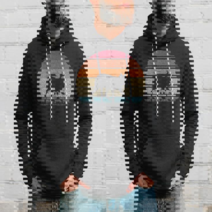 ヴィンテージ レトロ サンセット パタゴニア マーラ 恋人 アンティーク調 パーカー 彼への贈り物