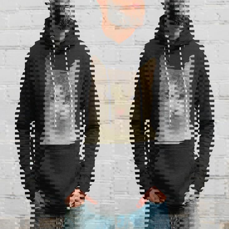 怒っている猫 リアル ミーム ウイルス インターネット パーカー 彼への贈り物