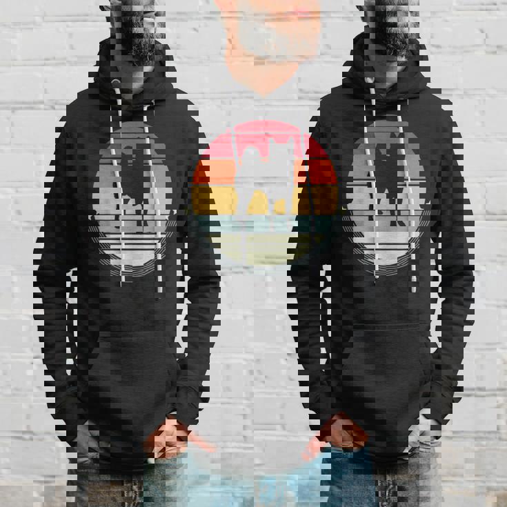 柴犬 シルエット レトロ ヴィンテージ 犬 オーナー レディース メンズ パーカー 彼への贈り物