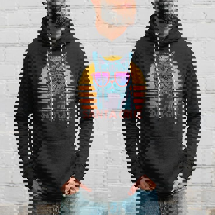 猫 ねこねこ サンタクルーズ カリフォルニア州 レトロ パーカー 彼への贈り物