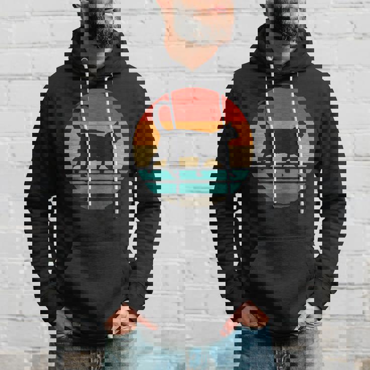 猫 レトロスタイル ビンテージ パーカー 彼への贈り物