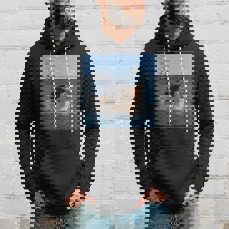 猫を噛むサメの面白いアートと猫好きの面白い猫とサメ。 パーカー 彼への贈り物