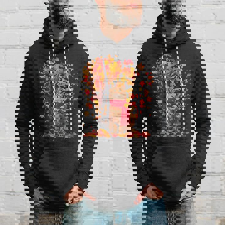 秋 猫 赤いスカーフ 紅葉 かわいい 猫 ママ 滝 パーカー 彼への贈り物