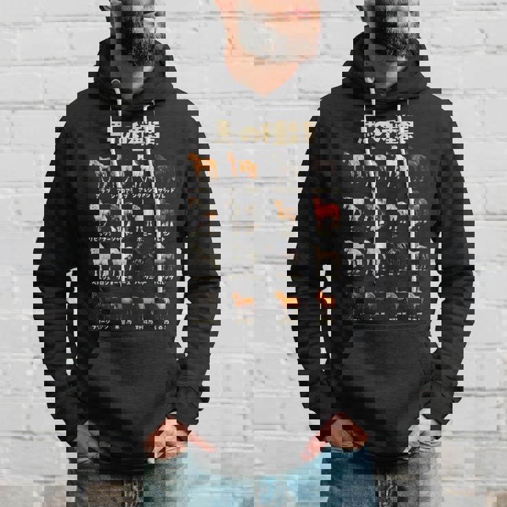 競馬 馬tシャツ 馬の種類 おもしろ ウマ レース 馬 乗馬 競馬 面白いtシャツ メンズ グッズ ネタ 大人 男性 パーカー 彼への贈り物